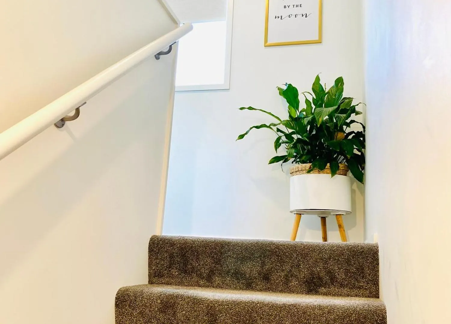 Villa Perfect Modern Townhouse Cbd Christchurch
